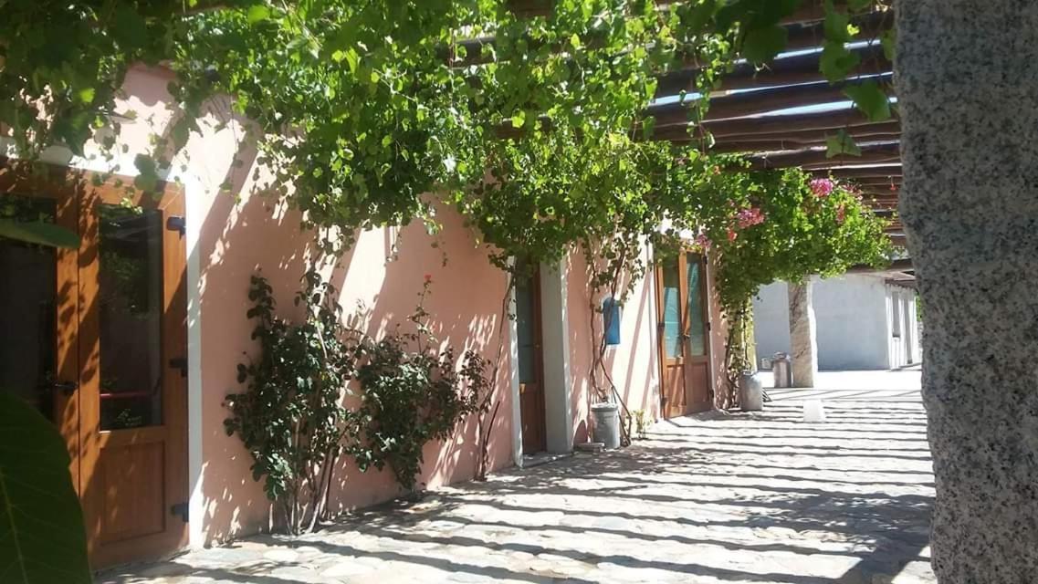 Agriturismo Donnolu Tertenìa Eksteriør billede